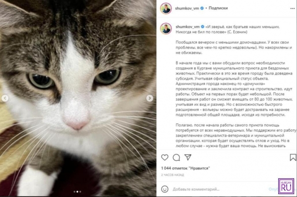 Вадим Шумков анонсировал строительство приюта для животных в Кургане Вадим Шумков анонсировал строительство приюта для животных в Кургане