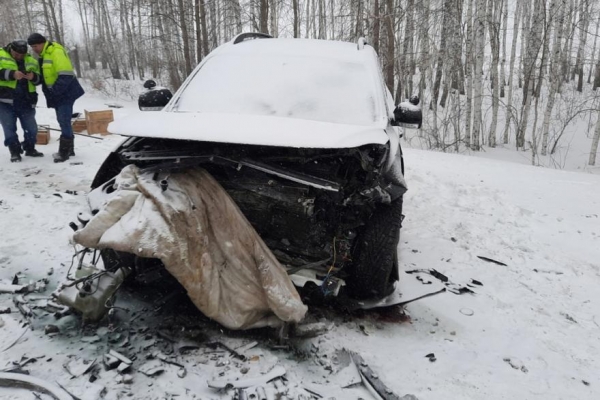 Авария на заснеженной трассе в Курганской области унесла две жизни Авария на заснеженной трассе в Курганской области унесла две жизни