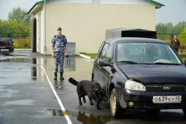 В Курганской области служебные собаки помогли раскрыть 50 преступлений В Курганской области служебные собаки помогли раскрыть 50 преступлений