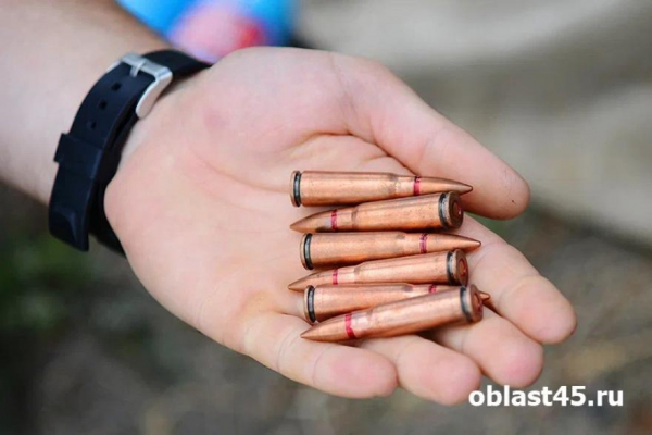 Жителю Шумихинского округа грозит до 8 лет колонии за хранение карабина и пороха