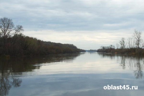 На водоёмах Курганской области с начала года погибли 32 человека На водоёмах Курганской области с начала года погибли 32 человека