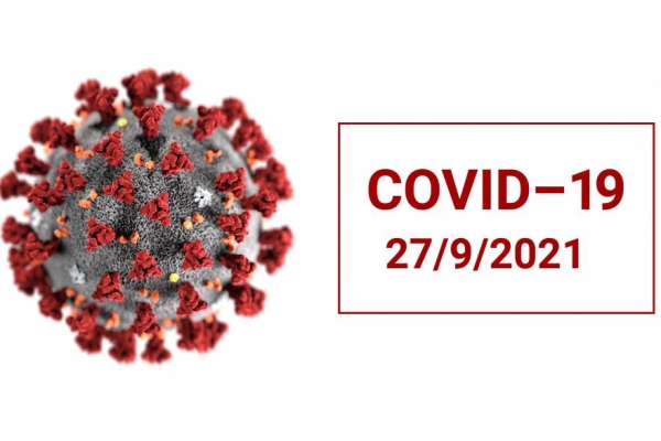 В Кургане, Шадринске и 15 районах области выявили новых заболевших COVID-19
