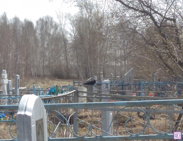 Жительница Курганской области обокрала мертвую подругу