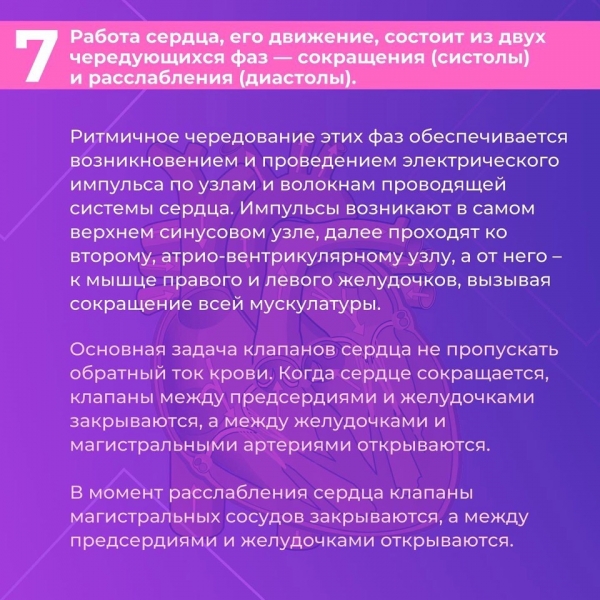 Сердце &mdash; один из самых важных органов человека. Благодаря его стабильной и правильной работе другие органы насыщаются кислородом и питательными веществами