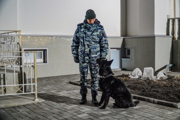 В Курганской области служебные собаки помогли раскрыть 50 преступлений В Курганской области служебные собаки помогли раскрыть 50 преступлений