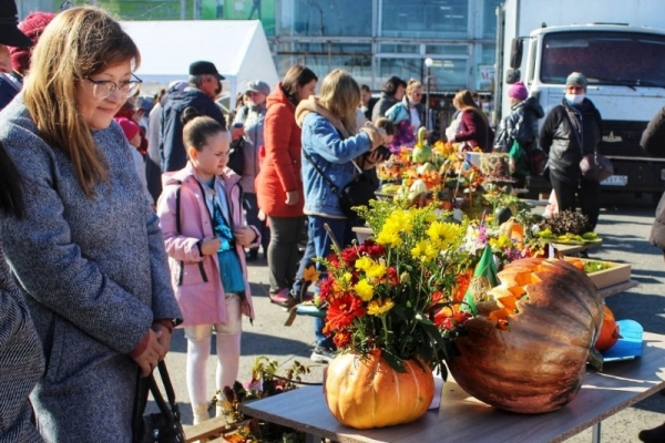 В Кургане проходит осенняя ярмарка В Кургане проходит осенняя ярмарка