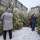 
											Журналисты санитарного патруля проверили елочные базары Кургана									