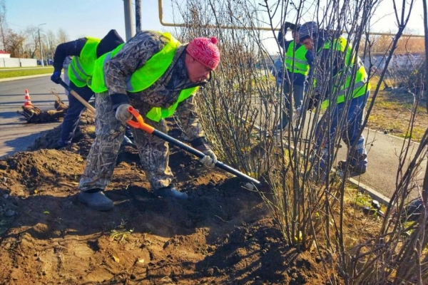 В Кургане высадят более 40 деревьев на аллее аэропорта В Кургане высадят более 40 деревьев на аллее аэропорта